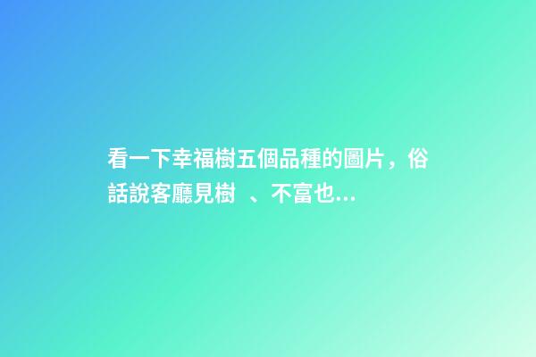 看一下幸福樹五個品種的圖片，俗話說客廳見樹、不富也發!8種吉祥樹